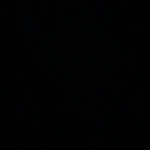 Meet your Posher, Liza